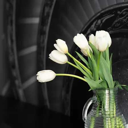 Iflat New Spacious & Classy In Monti Apartamento Roma